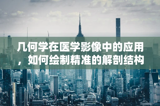 几何学在医学影像中的应用，如何绘制精准的解剖结构？