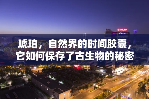 琥珀，自然界的时间胶囊，它如何保存了古生物的秘密？