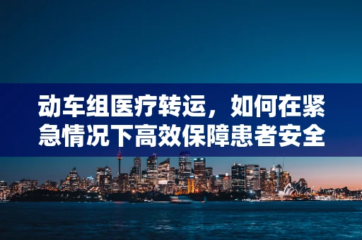 动车组医疗转运，如何在紧急情况下高效保障患者安全？