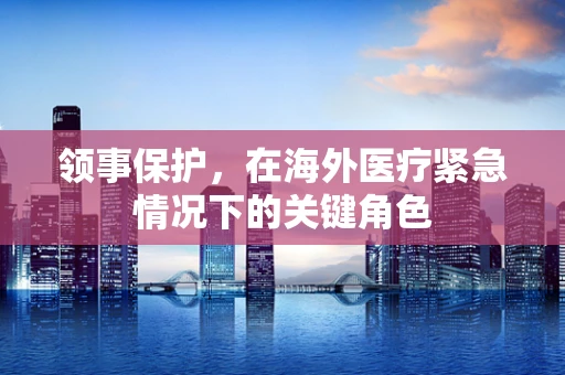 领事保护，在海外医疗紧急情况下的关键角色