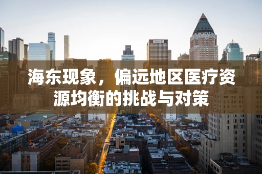 海东现象，偏远地区医疗资源均衡的挑战与对策