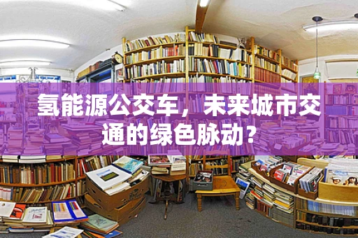 氢能源公交车，未来城市交通的绿色脉动？