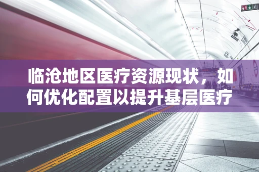 临沧地区医疗资源现状，如何优化配置以提升基层医疗服务水平？