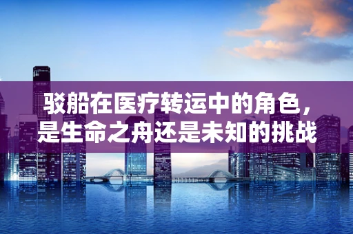 驳船在医疗转运中的角色，是生命之舟还是未知的挑战？