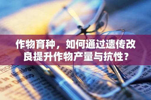 作物育种，如何通过遗传改良提升作物产量与抗性？