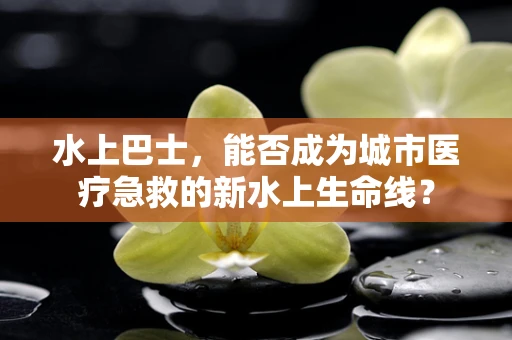 水上巴士，能否成为城市医疗急救的新水上生命线？