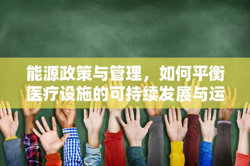 能源政策与管理，如何平衡医疗设施的可持续发展与运营效率？
