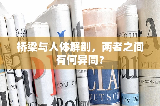 桥梁与人体解剖，两者之间有何异同？