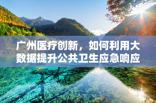 广州医疗创新，如何利用大数据提升公共卫生应急响应能力？