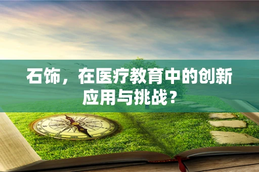 石饰，在医疗教育中的创新应用与挑战？