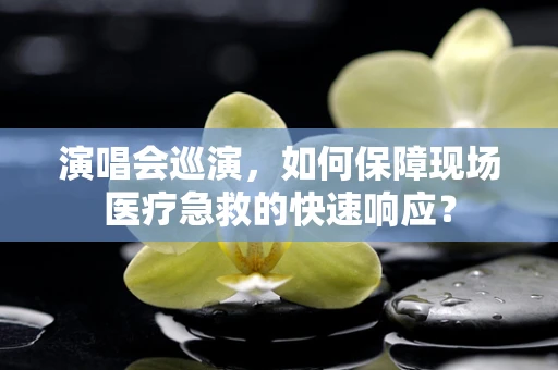 演唱会巡演，如何保障现场医疗急救的快速响应？