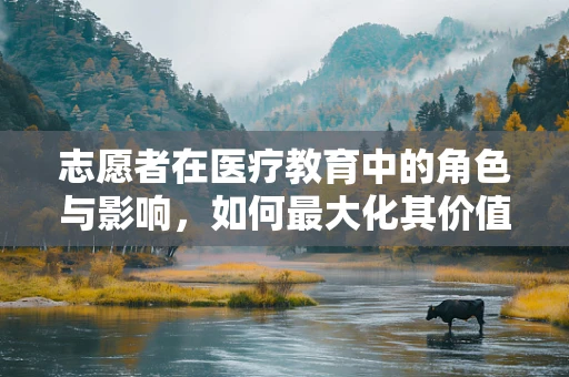 志愿者在医疗教育中的角色与影响，如何最大化其价值？