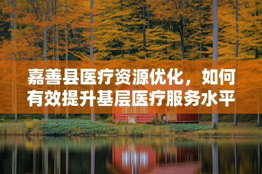 嘉善县医疗资源优化，如何有效提升基层医疗服务水平？