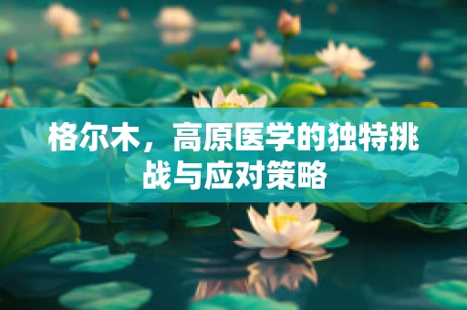 格尔木，高原医学的独特挑战与应对策略