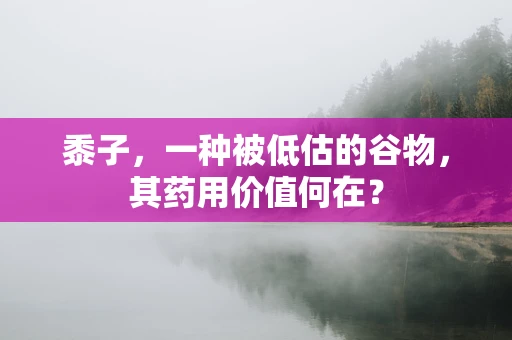 黍子，一种被低估的谷物，其药用价值何在？