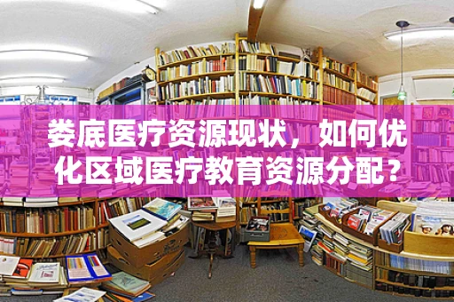 娄底医疗资源现状，如何优化区域医疗教育资源分配？
