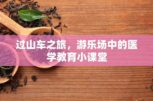 过山车之旅，游乐场中的医学教育小课堂