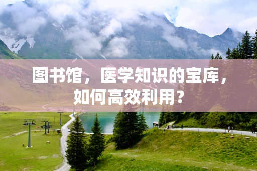 图书馆，医学知识的宝库，如何高效利用？