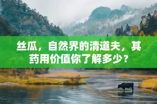丝瓜，自然界的清道夫，其药用价值你了解多少？