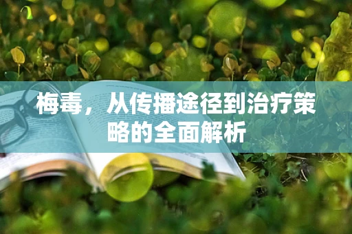 梅毒，从传播途径到治疗策略的全面解析