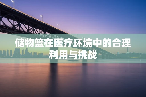 储物篮在医疗环境中的合理利用与挑战
