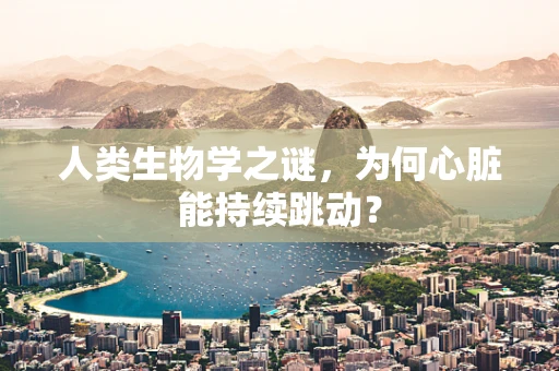 人类生物学之谜，为何心脏能持续跳动？