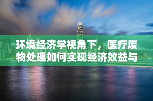环境经济学视角下，医疗废物处理如何实现经济效益与环境保护的双赢？