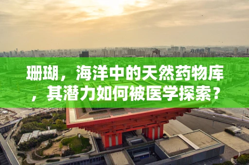 珊瑚，海洋中的天然药物库，其潜力如何被医学探索？