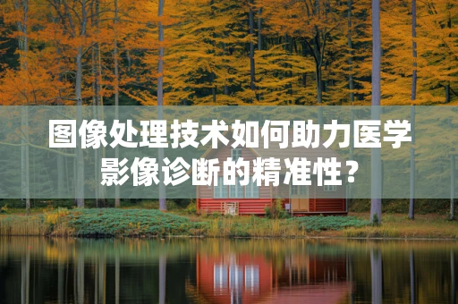 图像处理技术如何助力医学影像诊断的精准性？