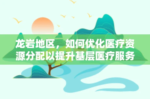 龙岩地区，如何优化医疗资源分配以提升基层医疗服务质量？