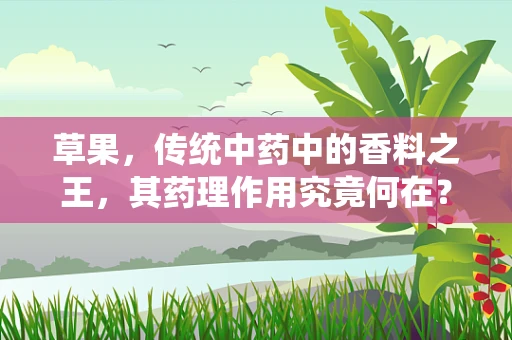 草果，传统中药中的香料之王，其药理作用究竟何在？