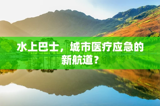 水上巴士，城市医疗应急的新航道？