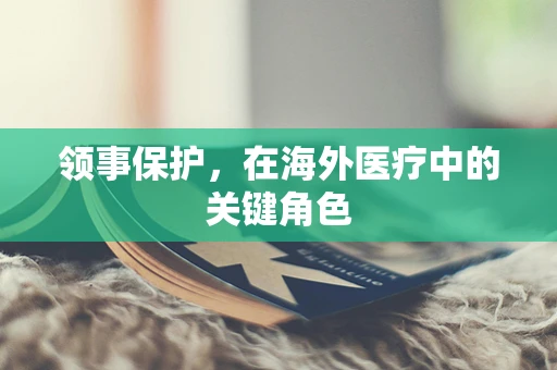 领事保护，在海外医疗中的关键角色