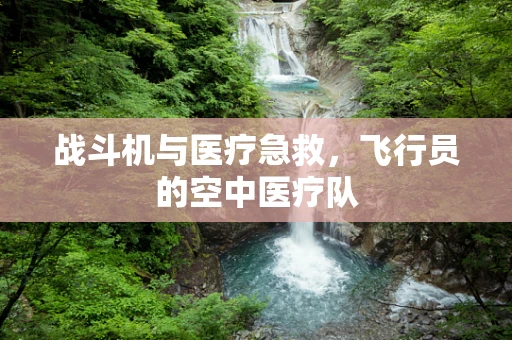 战斗机与医疗急救，飞行员的空中医疗队