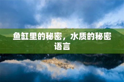 鱼缸里的秘密，水质的秘密语言