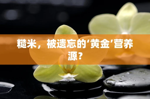 糙米，被遗忘的‘黄金’营养源？