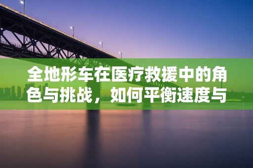 全地形车在医疗救援中的角色与挑战，如何平衡速度与安全？