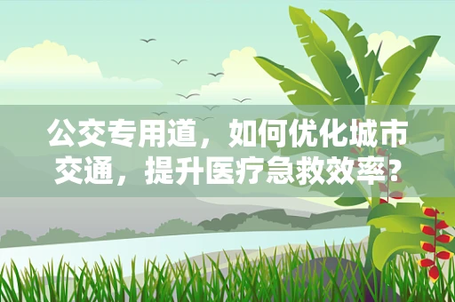 公交专用道，如何优化城市交通，提升医疗急救效率？