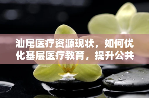 汕尾医疗资源现状，如何优化基层医疗教育，提升公共卫生服务能力？