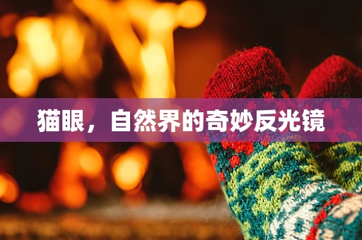 猫眼，自然界的奇妙反光镜