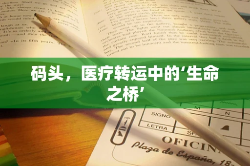 码头，医疗转运中的‘生命之桥’