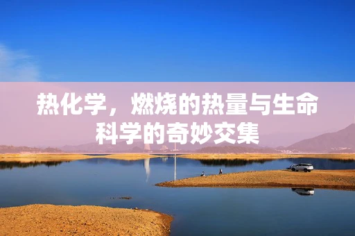 热化学，燃烧的热量与生命科学的奇妙交集