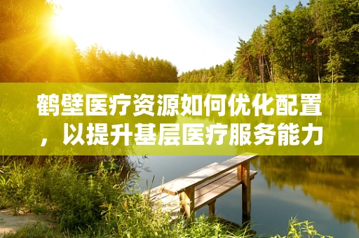 鹤壁医疗资源如何优化配置，以提升基层医疗服务能力？