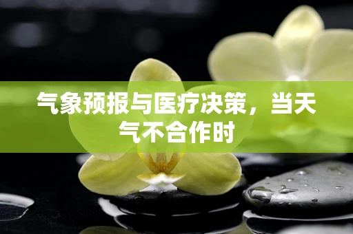 气象预报与医疗决策，当天气不合作时