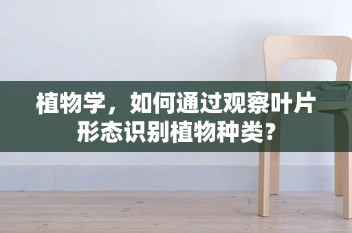 植物学，如何通过观察叶片形态识别植物种类？