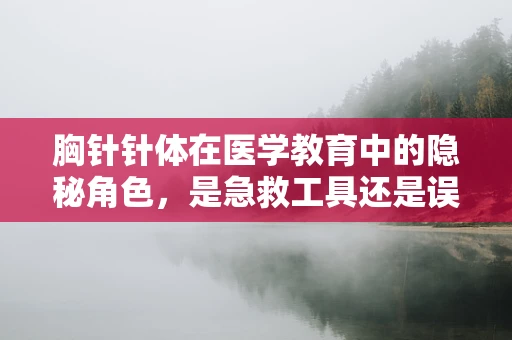 胸针针体在医学教育中的隐秘角色，是急救工具还是误诊陷阱？