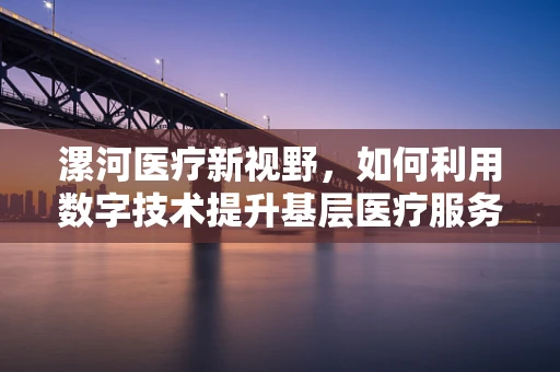 漯河医疗新视野，如何利用数字技术提升基层医疗服务质量？