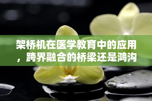 架桥机在医学教育中的应用，跨界融合的桥梁还是鸿沟？