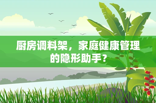 厨房调料架，家庭健康管理的隐形助手？