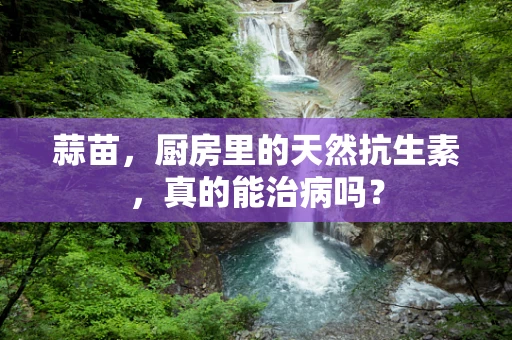 蒜苗，厨房里的天然抗生素，真的能治病吗？
